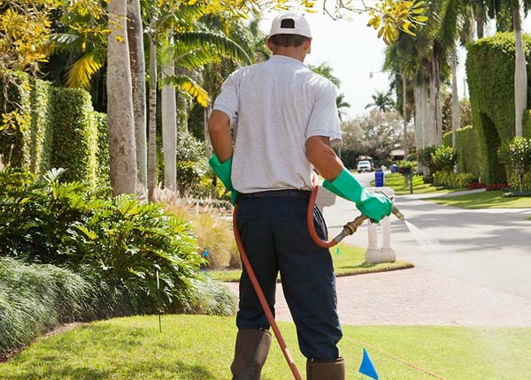 About Asbury NJ Pest Control Pros